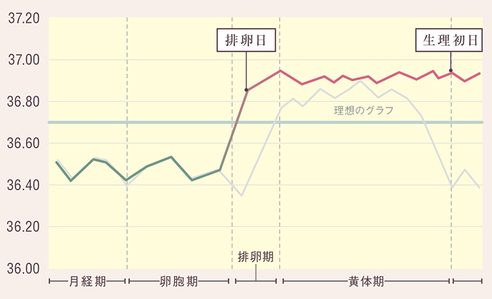 妊活期には不可欠な 基礎体温 要注意パターンは