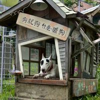 可愛動物旅遊團24h聊聊天