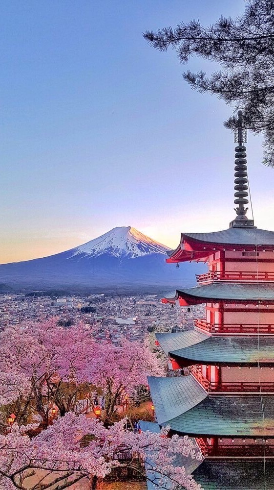 Buz Japanese KU 2026