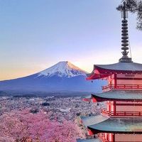 Buz Japanese KU 2026