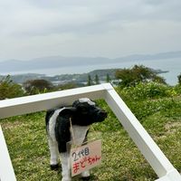 岡山・倉敷 ゆかいな仲間たち☆OKAYAMA☆