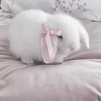 หมวยกาตุ่ย🐰