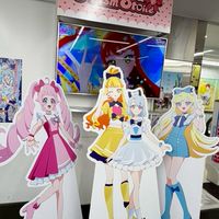 沫沫日本現地代購（不定時）