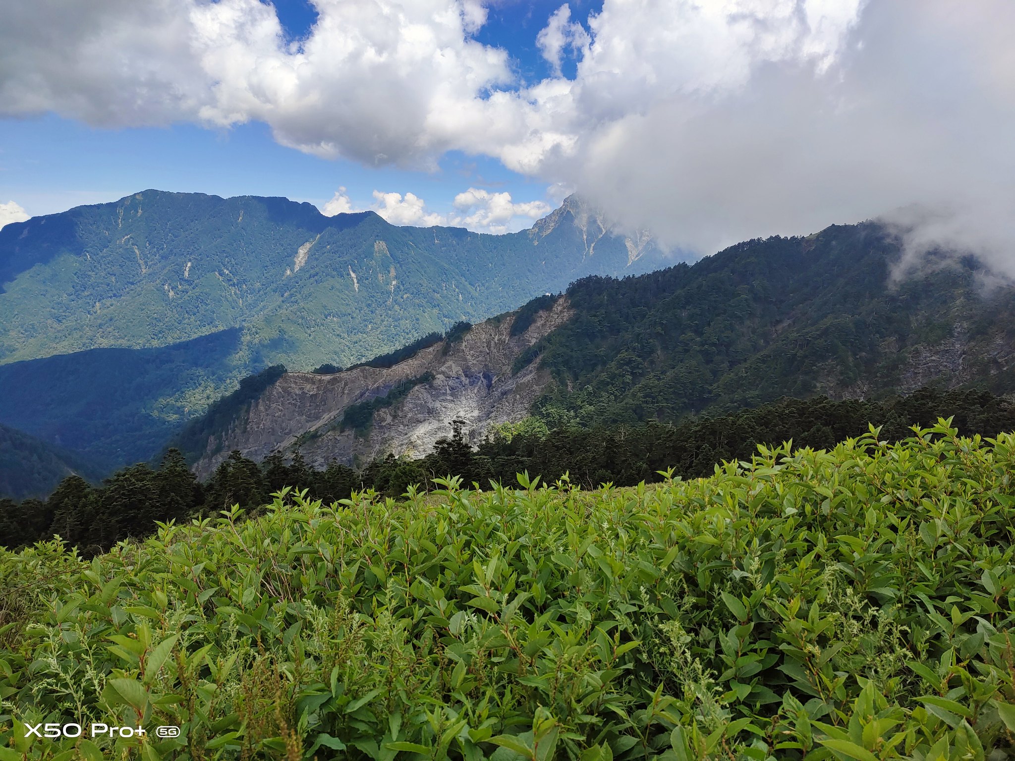 Vivo X50 Pro+(1倍）