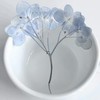 小恩恩俱樂部