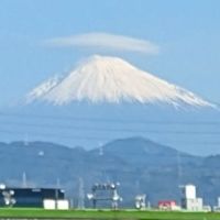 りんだ本家