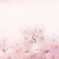 臨時休校！保護者様のお悩み解消チャット石川