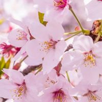 【学生さん限定】みんなで恋バナしよう＆雑談しよう
