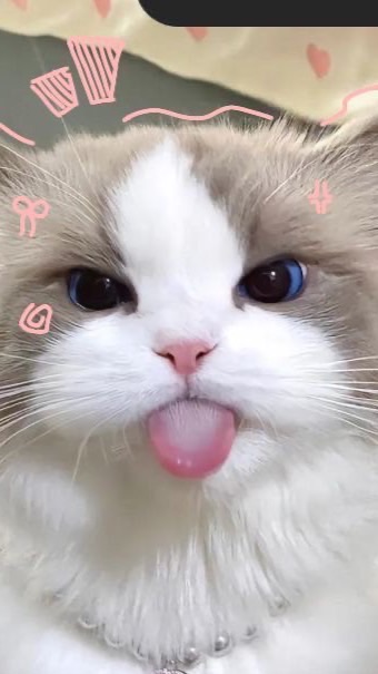 ✋