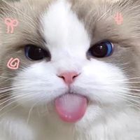 ✋