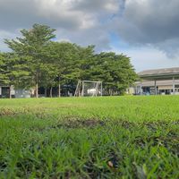Fc online Signal 21