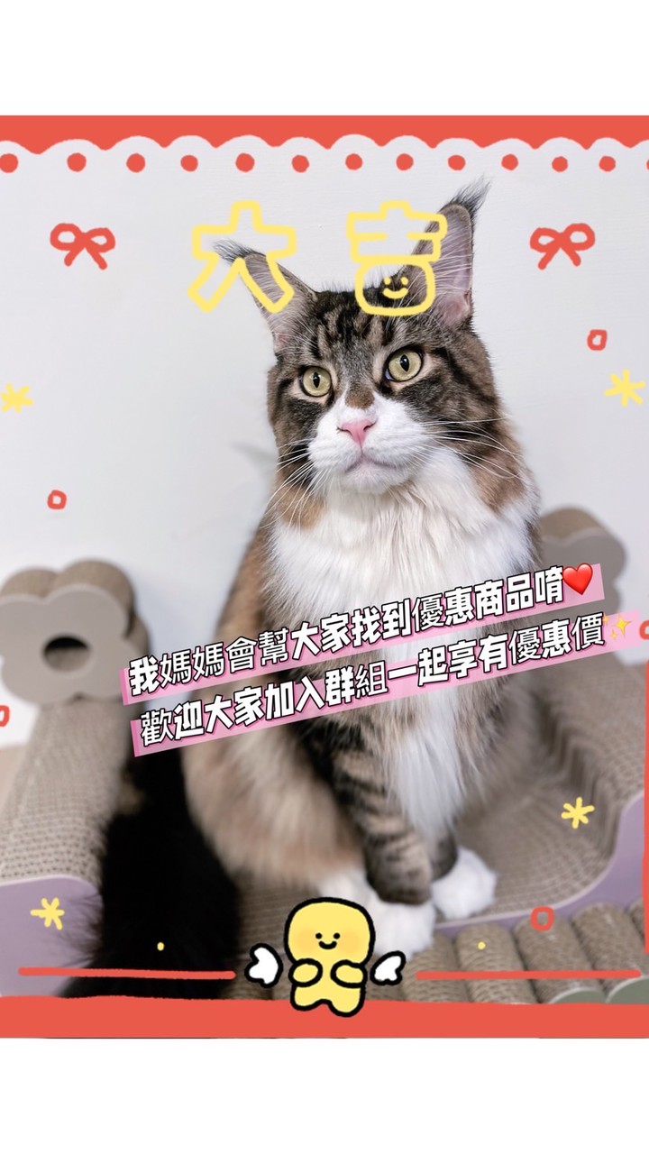 🎀怪獸M小地攤🎀（寵物用品、專業美容用品、代購商品，通通優惠團購價，美容上的問題都可問我媽媽唷❤️）