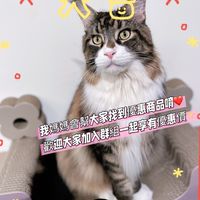 🎀怪獸M小地攤🎀（寵物用品、專業美容用品、代購商品，通通優惠團購價，美容上的問題都可問我媽媽唷❤️）