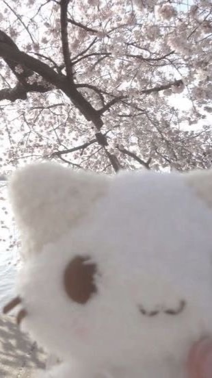 ᯤ ໒꒱ ‧韻聲輕輕の..໋˚𓂃 ꕤ⸝⸝×