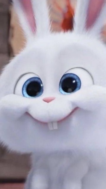 🐰邦尼的17代購🐰