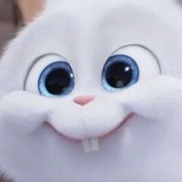 🐰邦尼的17代購🐰