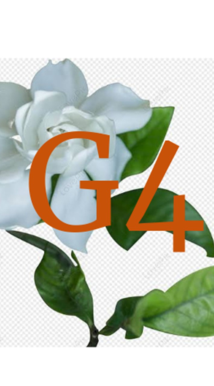 G4 ม.1/7 สว.นศ. รายวิชาสมาธิพัฒนาปัญญา