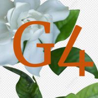 G4 ม.1/7 สว.นศ. รายวิชาสมาธิพัฒนาปัญญา
