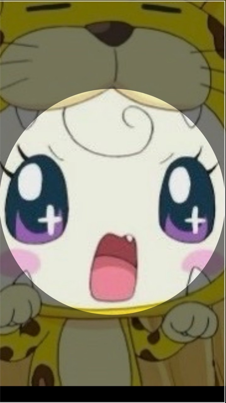 すちーずおいで🩷