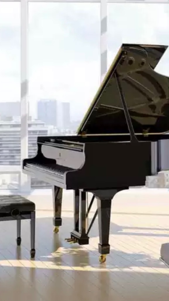 鋼琴家音樂中心