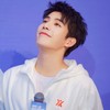 Wanganyu 王安宇 Th.