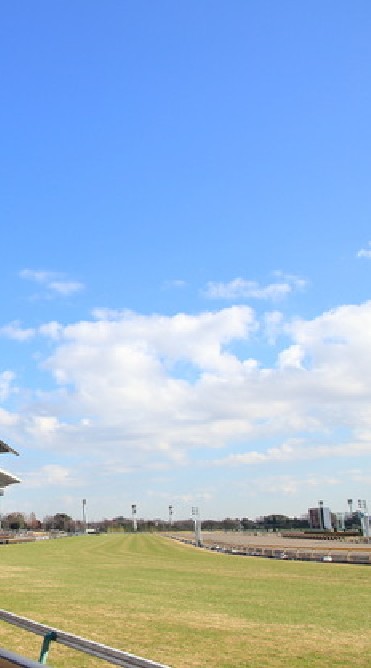 勝ち馬発見👀のオープンチャット