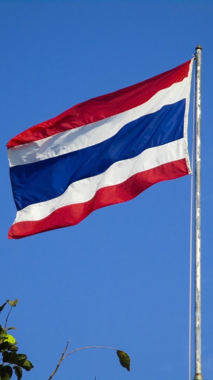 三羊開泰🇹🇭連線代購(3/9-12)