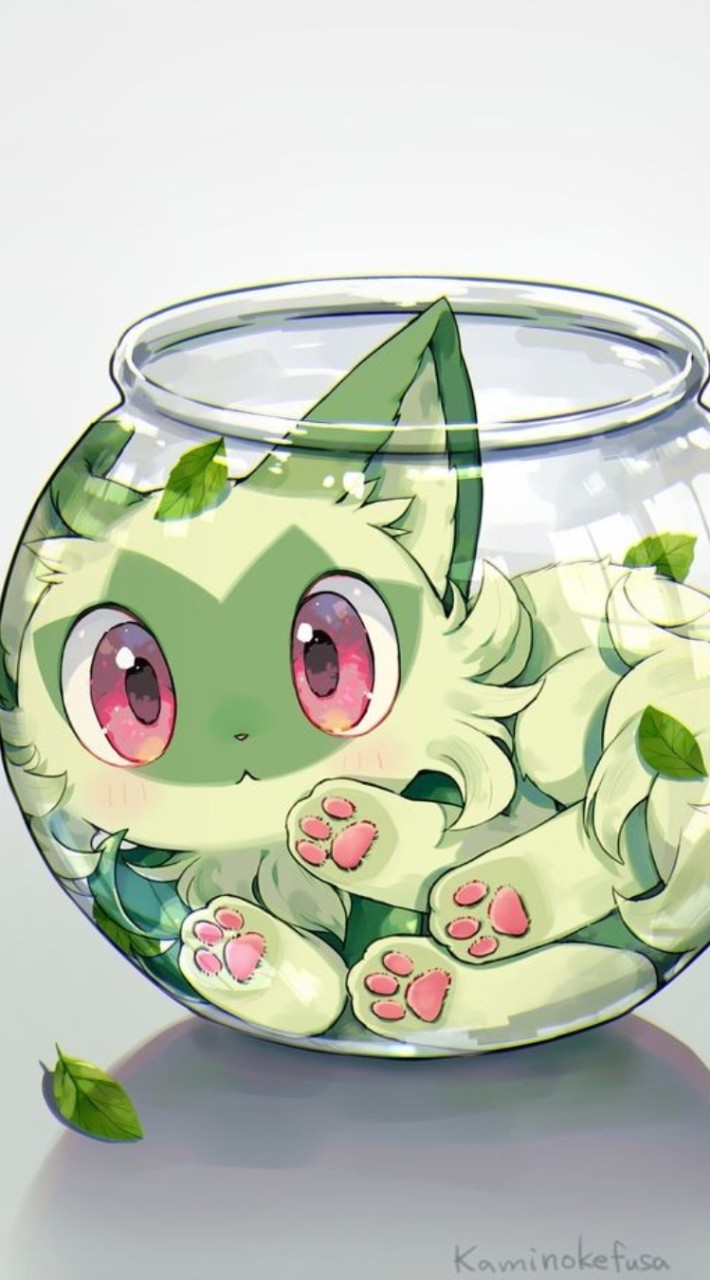 NSポケモンの柑果孵蛋教團