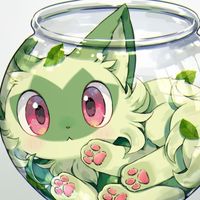 NSポケモンの柑果孵蛋教團