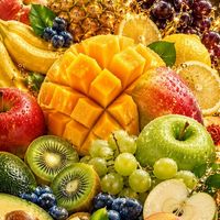 🍸𝓜𝓮𝓷𝓼`𝓑𝓐𝓡🍸〚禁断の果実〛🍎🍇🍋🍐30代 40代 50代 🥭🍑🫐🍍良識ある大人の戯れ♤♧♡♢