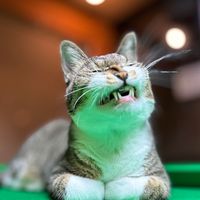 SUN weeklyエントリー用