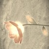 FF14推しキャラを語る