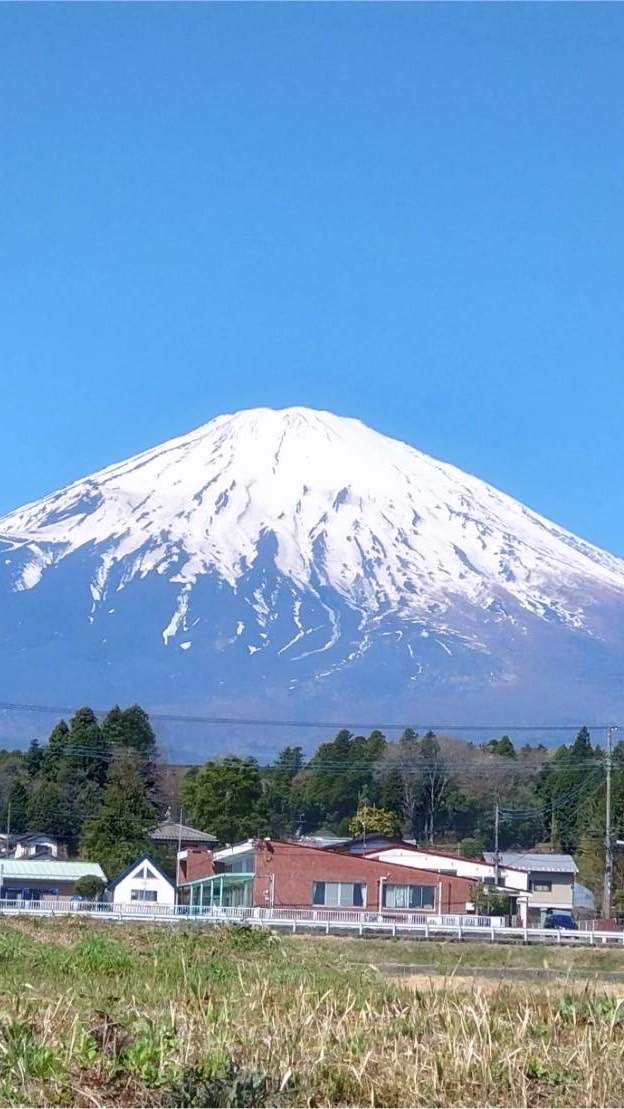 日替わり内室 403鯖 ニライカナイの愉快な仲間たち✌️