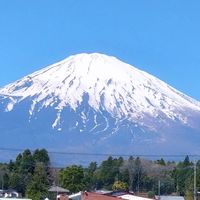 日替わり内室 403鯖 ニライカナイの愉快な仲間たち✌️