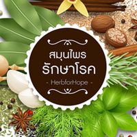 สมุนไพรรักษาโรค