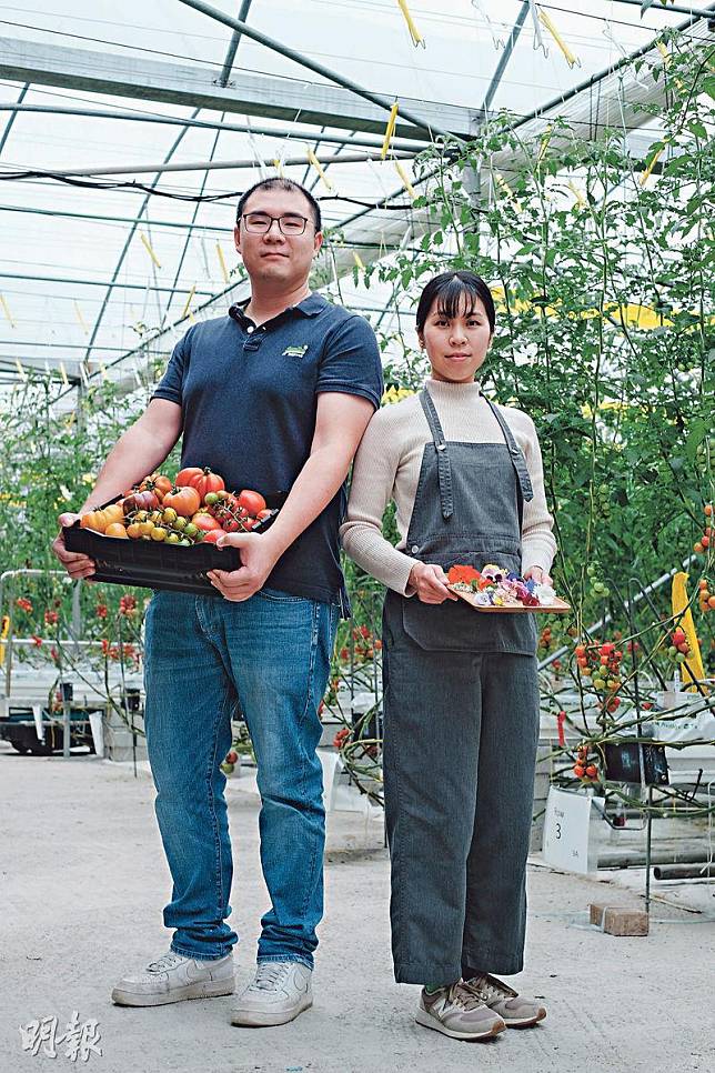 林德煒 何詠詩實踐自產自銷水耕番茄食用花本地直送 明報 Line Today