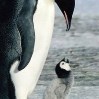 別学のひと集まれー