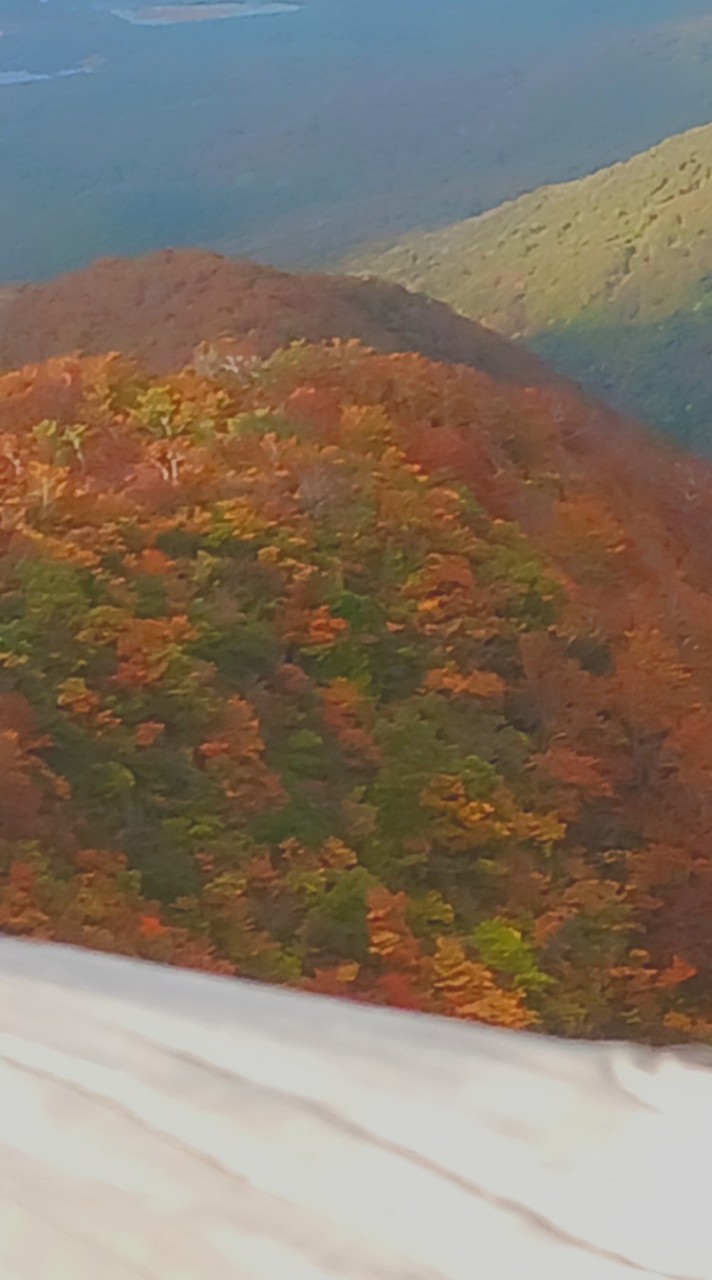宇宙から見た地球は青かった