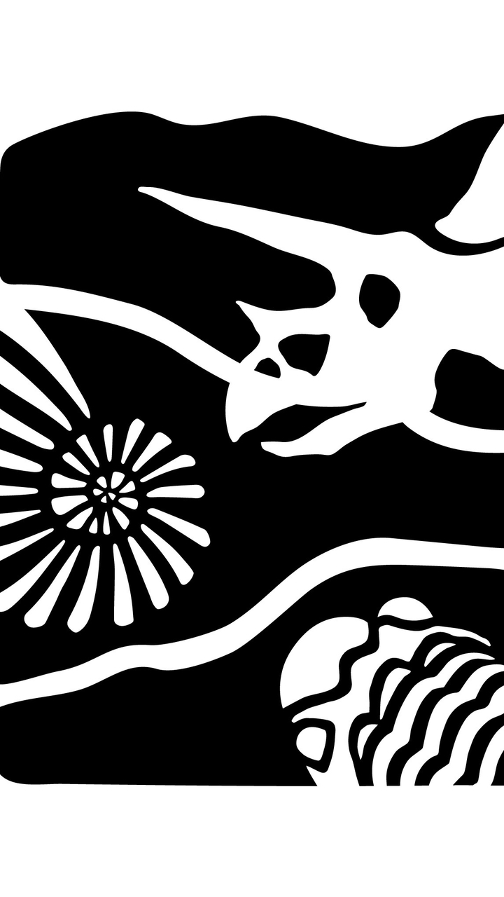 石青Fossil Studio化石礦物討論群