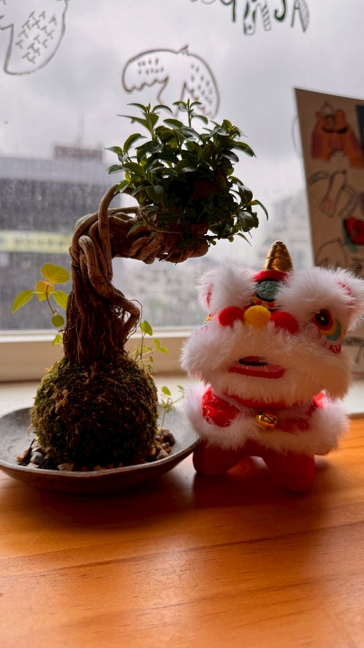 小世的塔羅社群～