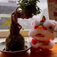小世的塔羅社群～