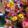 รับหิ้วดอกไม้ปากคลองตลาด ม.เกษตรศรีราชา-ศรีราชา