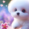 ❤️❤️晴天雨天，我都不在你的身邊❤️❤️