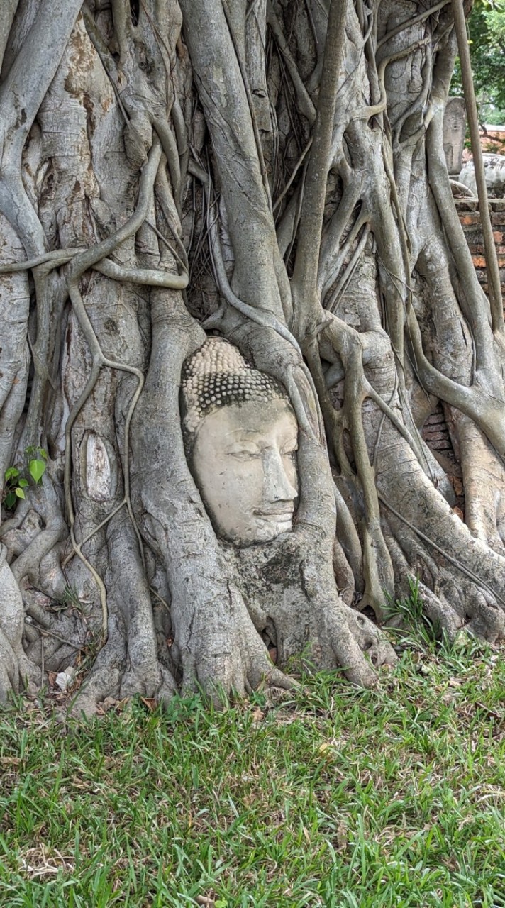 台灣人在泰國🇹🇭