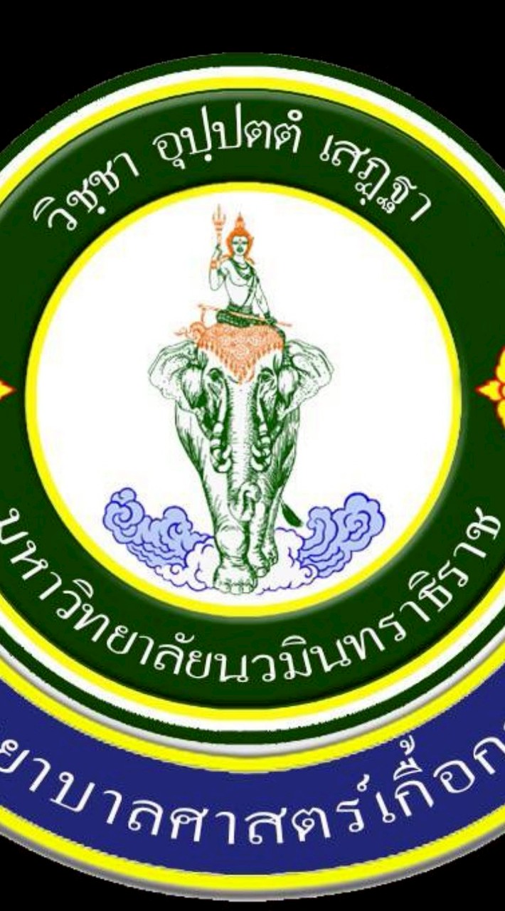 โครงการพัฒนาศักยภาพด้านการวิจัยและนวัตกรรมที่เป็นสังคมเมือง