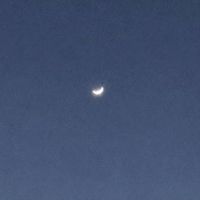 自由に雑談
