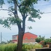 【112-1老人諮商-布袋組】