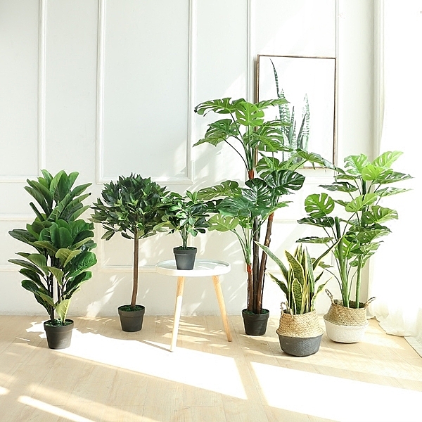 北歐創意室內裝飾花卉綠植盆栽n下單後約7-10個工作天.n大量採購者可以先買樣品再下有量的訂單