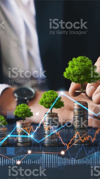 💰iStock by Getty Images🌍