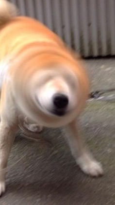 一本釣之你在大聲什麼